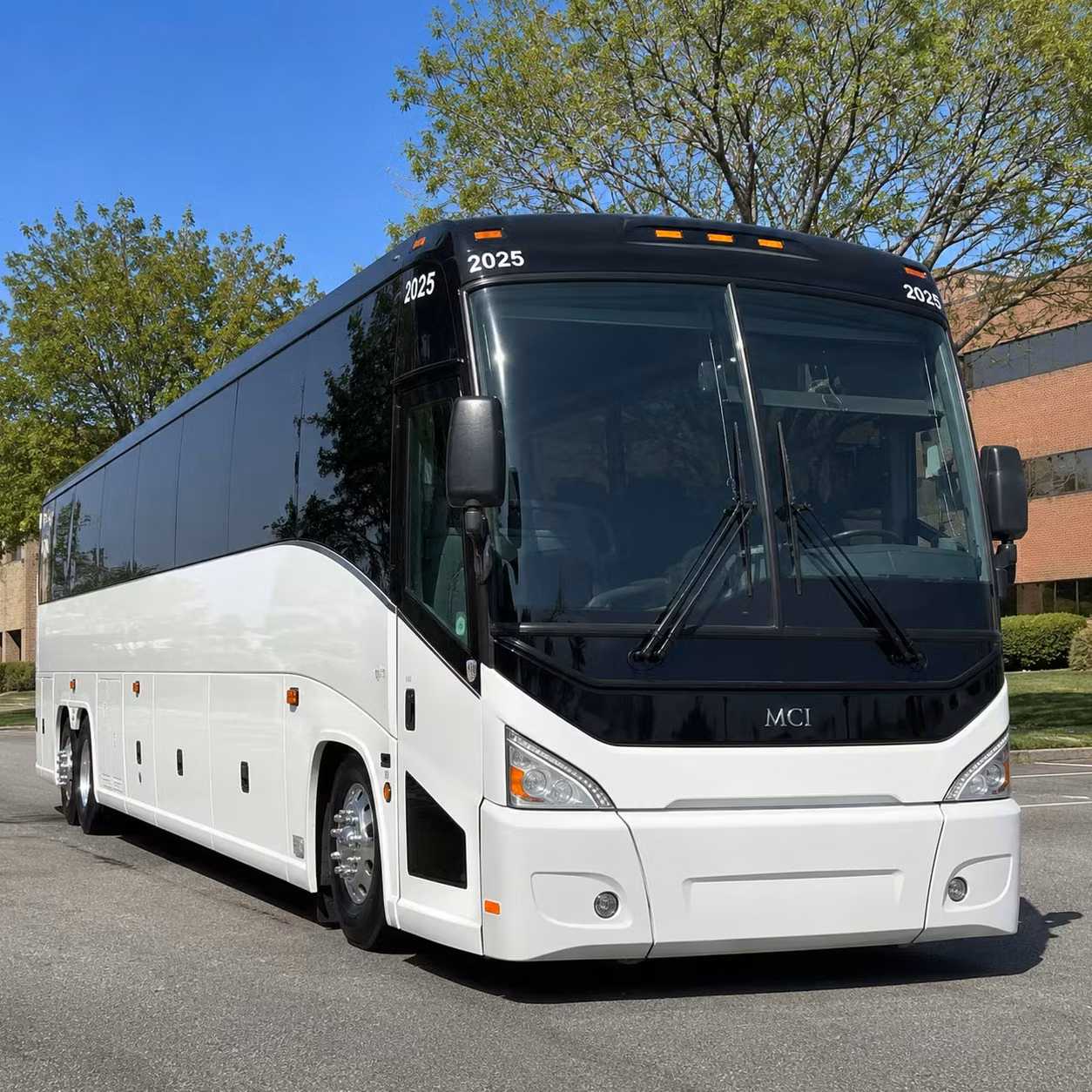 bachelorette party and birthday concert night transportation in mcallen